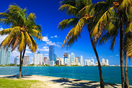African-Owned Businesses in Miami FL